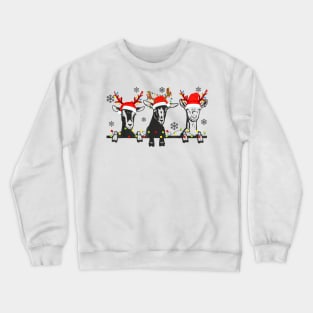 Cute Goats Christmas Lights Farm Animal Christmas Crewneck Sweatshirt